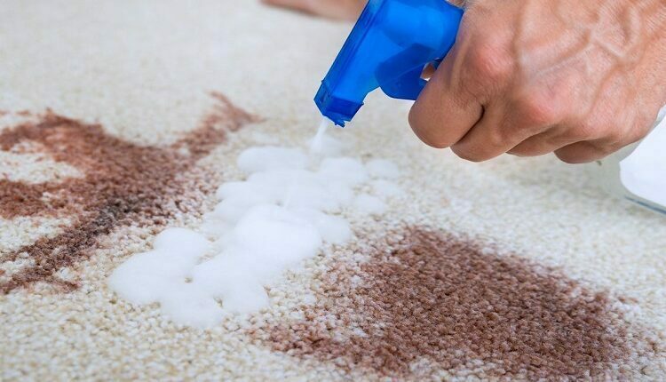 Removing Stains From A Carpet