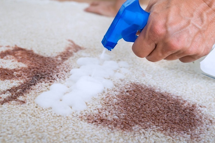 Removing Stains From A Carpet